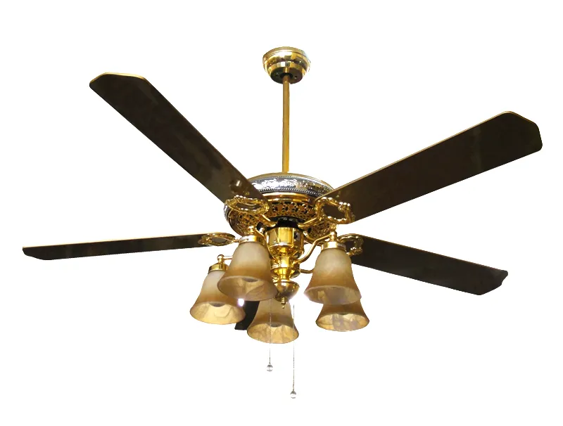 Decorative Fan