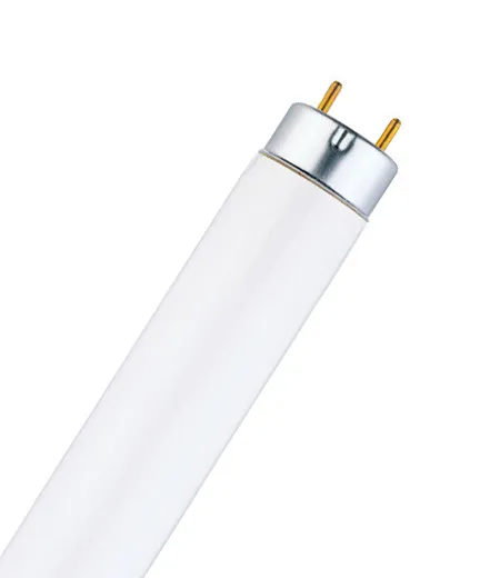 T5 Linear HE ES 13 W/830