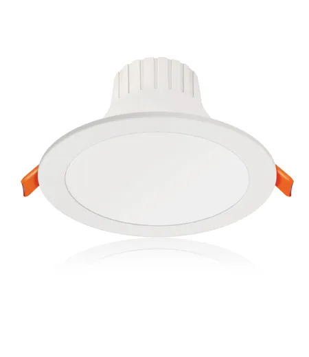 Down Light