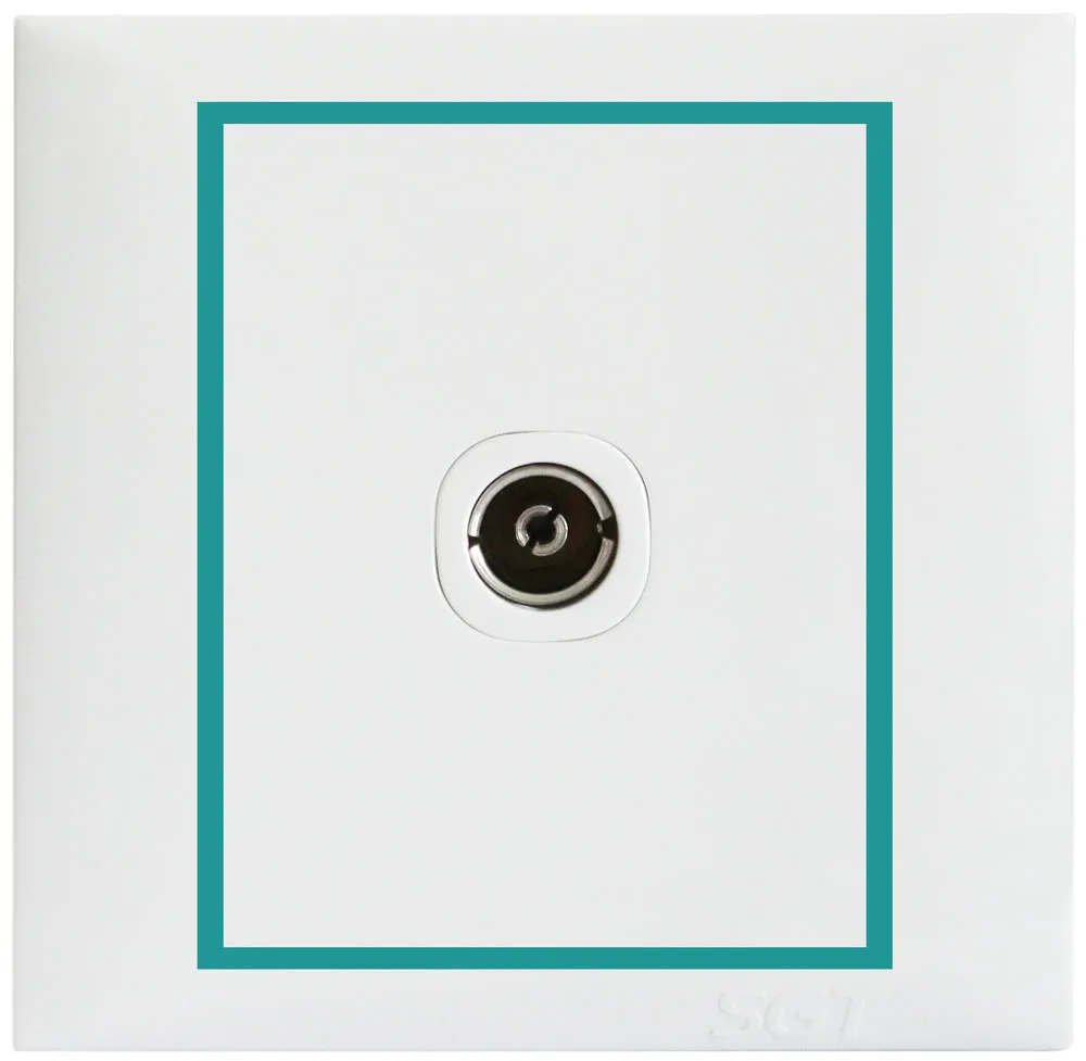 SGT New LS - TV Socket 4W30V