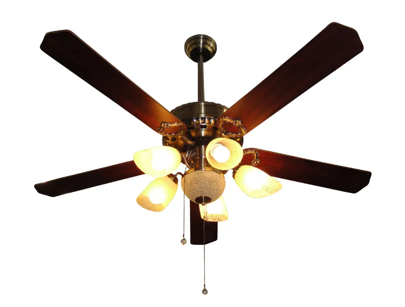 Decorative Fan